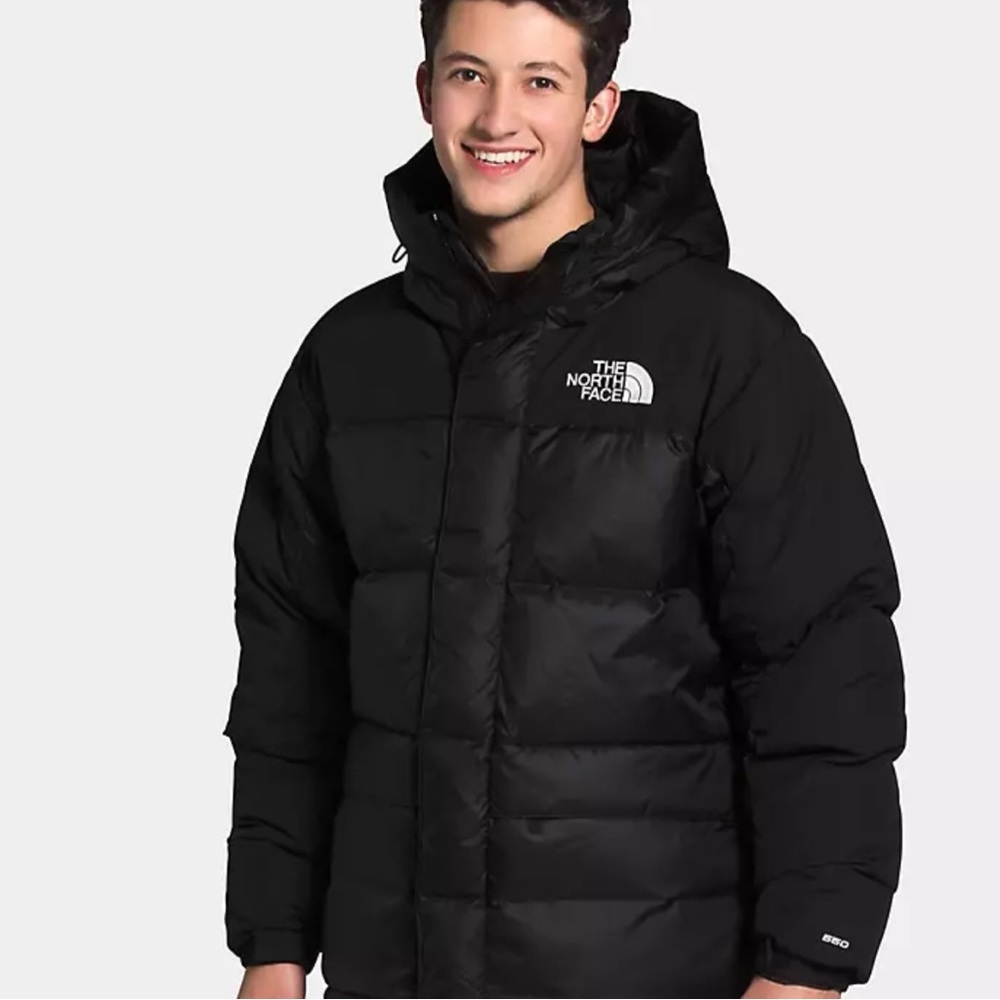 Northface Summit series 600 down Coat